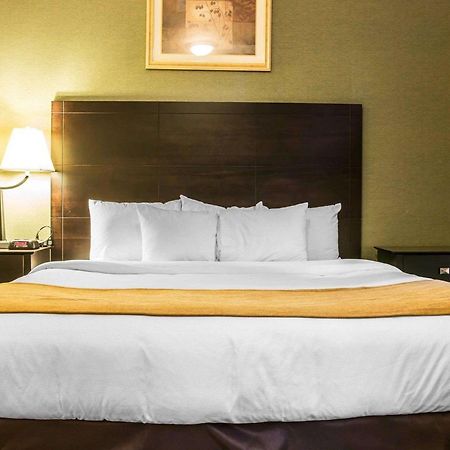 Comfort Inn Whitehall Near Michigan'S Adventure Dış mekan fotoğraf