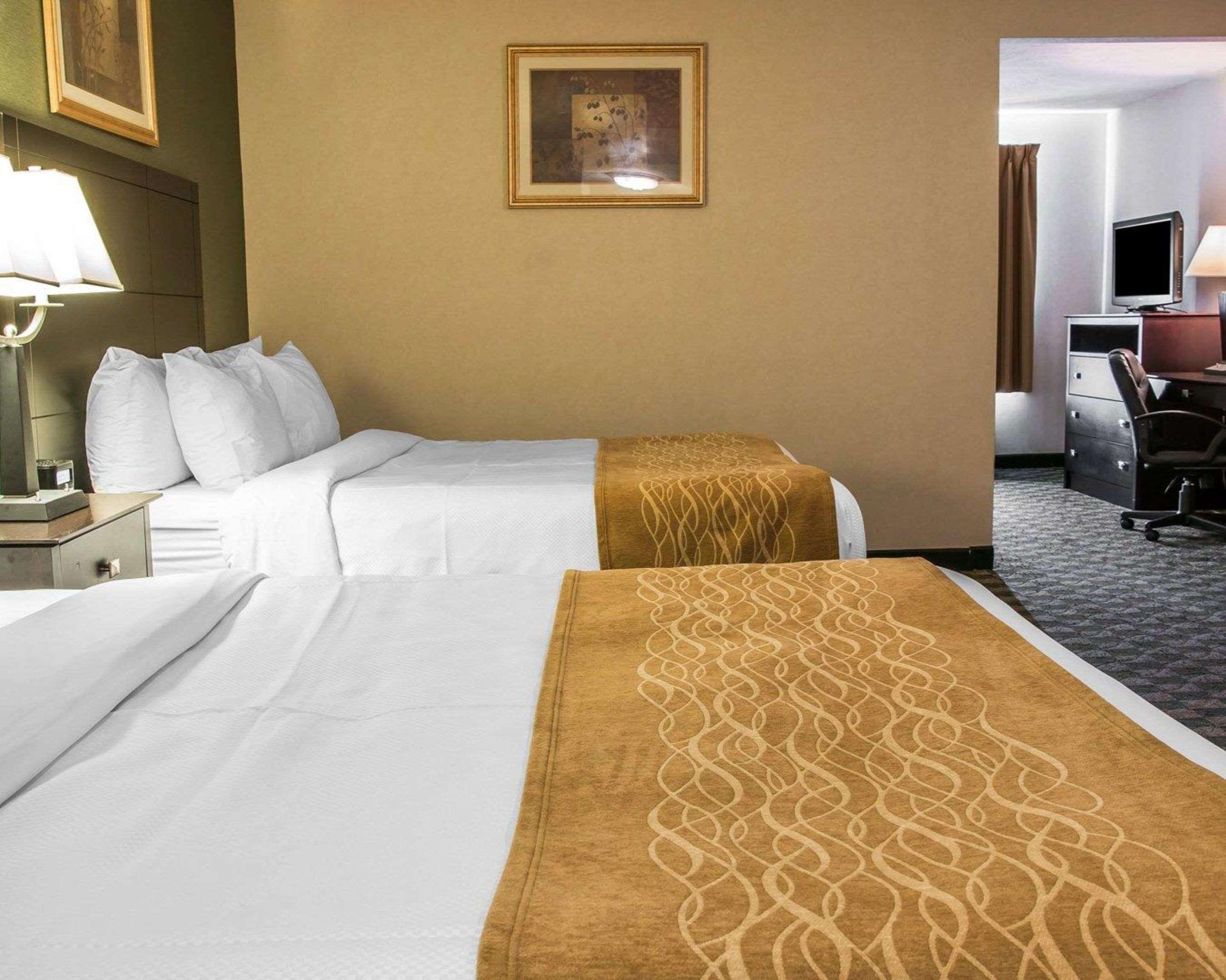 Comfort Inn Whitehall Near Michigan'S Adventure Dış mekan fotoğraf